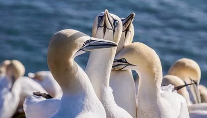 平湖高价上海医保提取2025的最新政策(2025年平湖上海医保怎么提取现金分享)