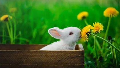 平湖高价上海医保提取2025的最新政策(2025年平湖上海医保怎么提取现金分享)